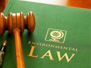 Types of Product Liability Claims: Understanding Your Legal Rights