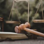 Constitutional challenges in court