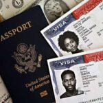 scale-up worker visa requirements
